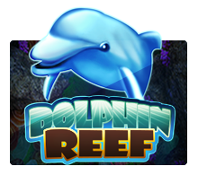 เล่นเกมสล็อตเว็บตรบ Dolphin Reef สูตรเกมสล็อต