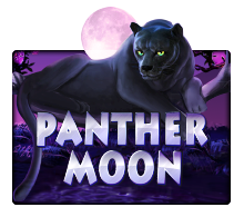 เล่นเกมสล็อตเว็บตรบ Panther Moon สูตรเกมสล็อต