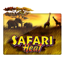เล่นเกมสล็อตเว็บตรบ Safari Heat สูตรเกมสล็อต