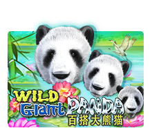 เล่นเกมสล็อตเว็บตรบ Wild Giant Panda สูตรเกมสล็อต